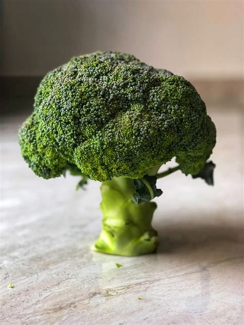 2 Mind-blowing Broccoli Stem Recipes Worth Your Time | My Food Memoirs