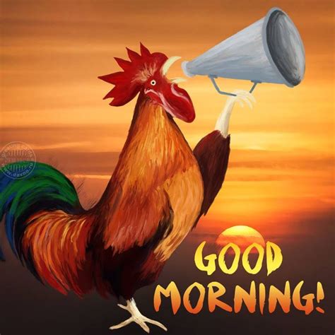 Good morning Country Rooster | Доброе утро, Открытки, Рисунки петухов