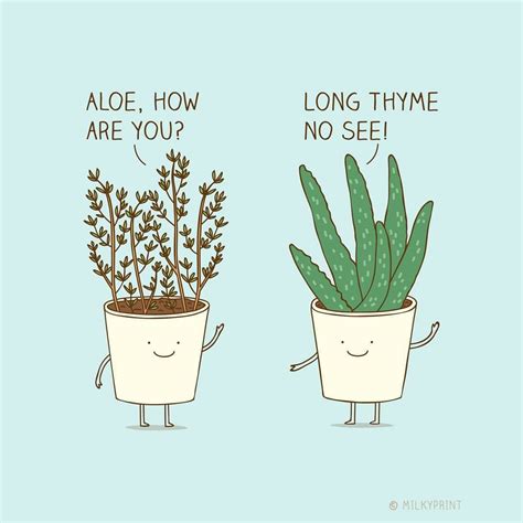 Plant Jokes For Kids | Freeloljokes