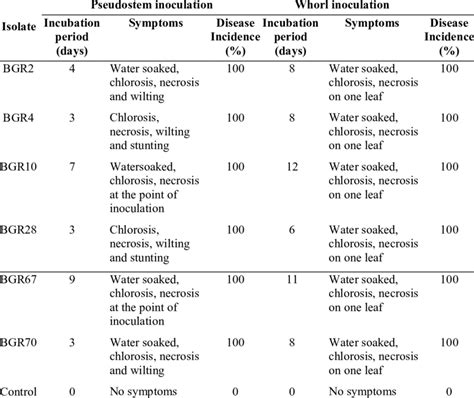 Disease symptoms from pathogenicity tests of bacterial isolates ...