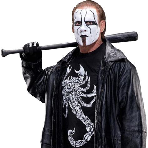 Sting announced retirement at WWE Hall of Fame Ceremony - DotNet Guide