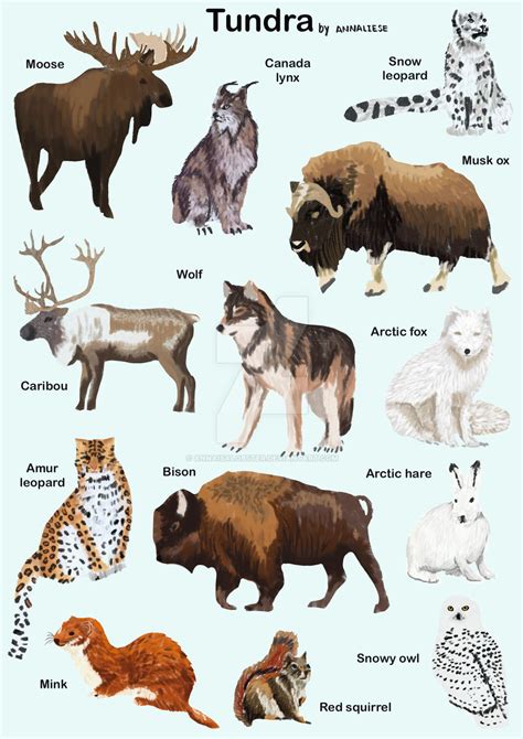 Tundra animals by annaisalobster on DeviantArt