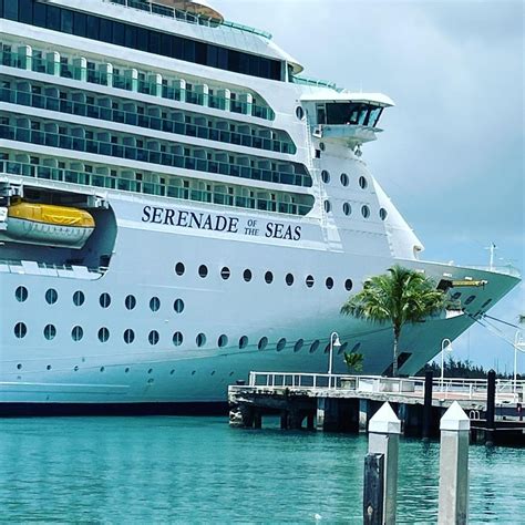 Serenade of the Seas Cabins to Avoid (Check THIS Before Booking ...