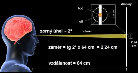 Calculation the distance of the eye from the monitor. Source Jedlicka,... | Download Scientific ...