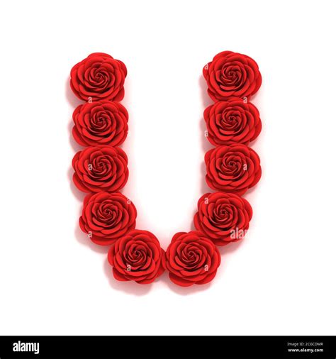 red roses font letter U Stock Photo - Alamy