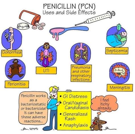 Penicillin use and side effects | Pharmacology nursing, Nursing ...