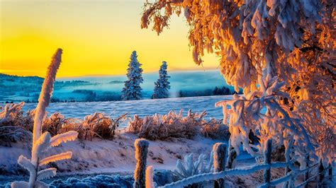 🔥 Download Beautiful Winter Sunrise 4k Ultra HD Wallpaper by @jamesfranklin | 4K Winter ...