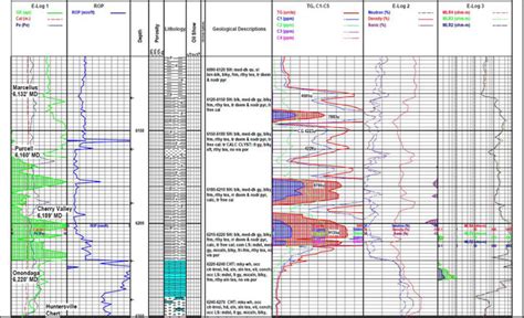 Well Site Geology - Mud Logging - Raptor Consulting