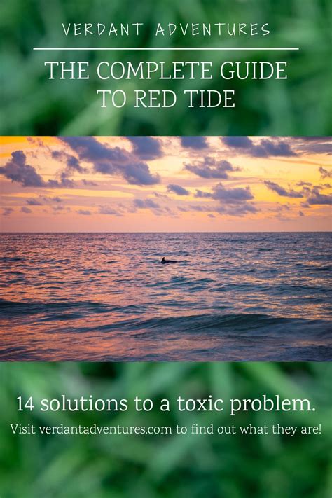 The Complete Guide to Red Tide | 14 solutions to a toxic problem ...