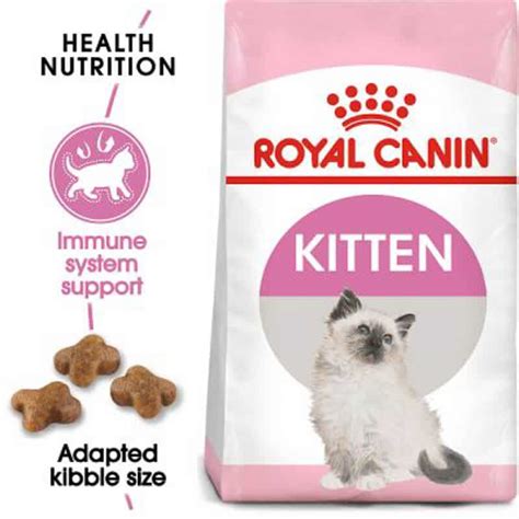 8 Best Kitten Dry Food Options for Your Cat 2022 I Discerning Cat