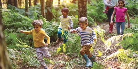 Our Proud Heritage: Outdoor Play Is Essential to Whole Child Development | Child development ...