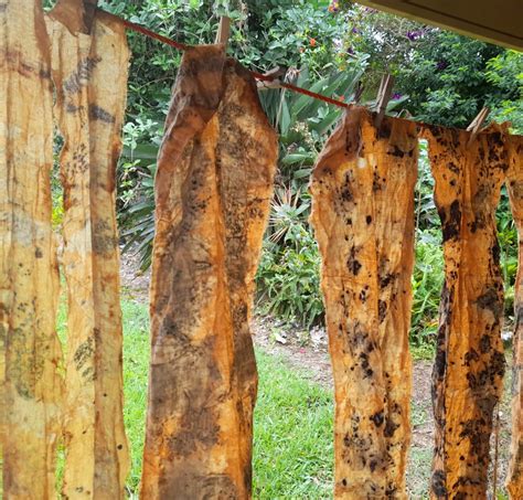 Natural Dyeing – how to use rust as a mordant in Eco Printing