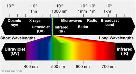 Wavelength of Visible Light Spectrum | Visible light spectrum, Chromotherapy, Light therapy