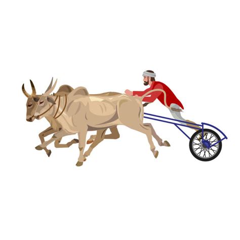 Top Bullock Cart Clip Art, Vector Graphics and Illustrations - iStock