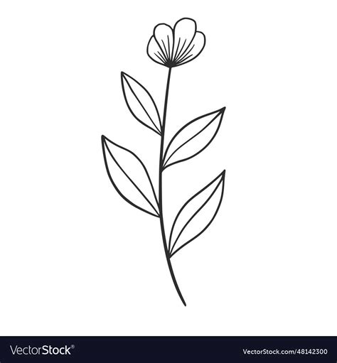 Wildflowers Royalty Free Vector Image - VectorStock