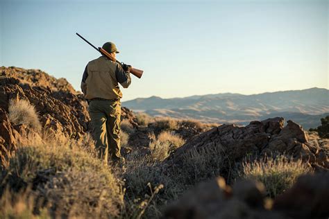 Chukar Hunting In Nevada Photograph by Michael Okimoto - Fine Art America