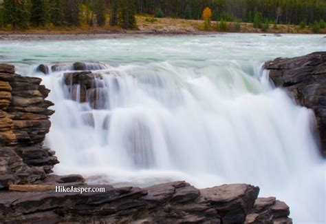 Rearguard Falls Fraser River Salmon Run