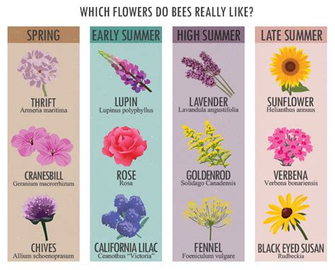 Bee-Friendly Garden: 12 Flowers & Plants That Attract Bees