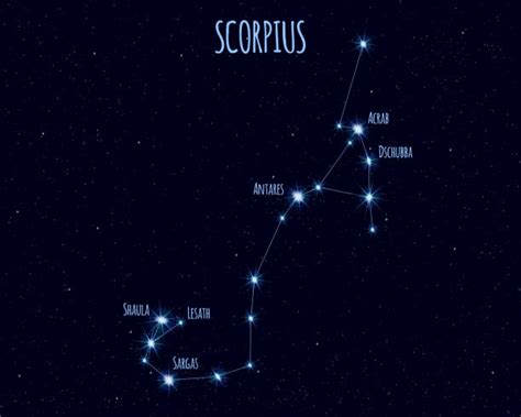 170+ Scorpius Constellation Stock Illustrations, Royalty-Free Vector ...