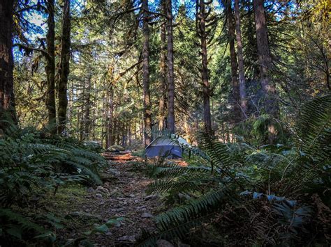 14+ Spots for Free Camping in Oregon and How to Find More