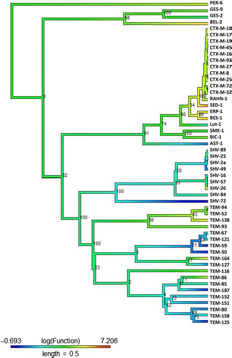 Class A (Cephalothin): The midpoint‐rooted phylogenetic tree was ...