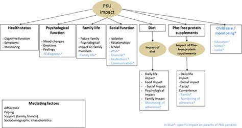 Conceptual model of the impact of phenylketonuria (PKU) and its... | Download Scientific Diagram