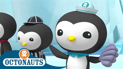 Octonauts - Peso's Big Race | Full Episodes | Cartoons for Kids - YouTube