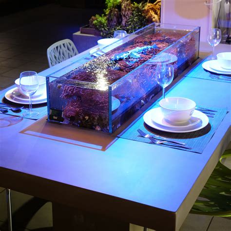 Dining Room Aquarium Table – SR Aquaristik.com