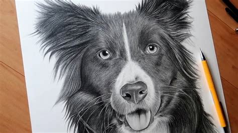 Drawing Realistic Dog | Timelapse 🔥 - YouTube