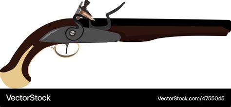 Musket gun Royalty Free Vector Image - VectorStock