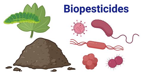 Biopesticides- Definition, 3 Types, and Advantages