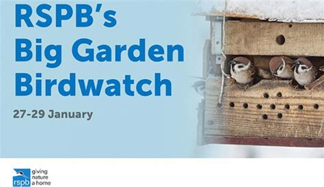 Are you taking part in the Big Garden Birdwatch 2023? - Eastbourne & District Local Group