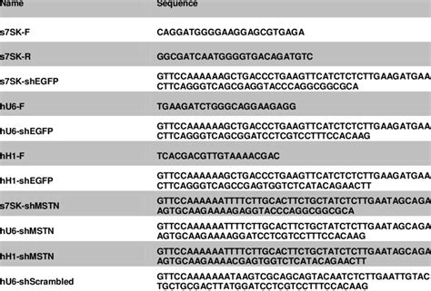 Oligonucleotides sequences. | Download Table