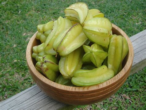 Carambola - Sun Temple Food