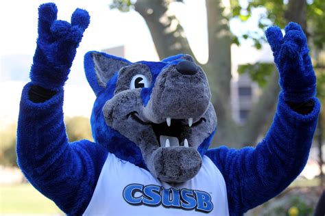 CSUSB - Come See What the Pack is Cooking