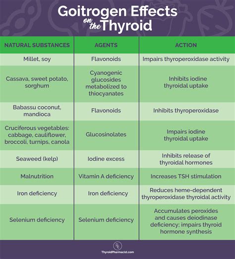 Cruciferous Vegetables Thyroid Myth - SAM Vegetable