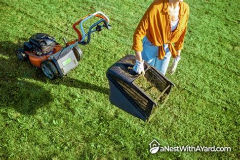 Lawn Sweeper Vs Bagger: Which To Choose In 2024? - A Nest With A Yard