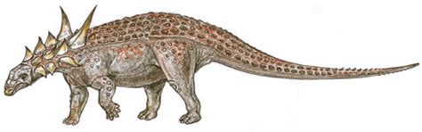 Antarctopelta - Dinopedia - the free dinosaur encyclopedia