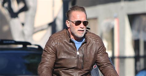 Arnold Schwarzenegger's Pals Want Him To Quit Driving After Accidents