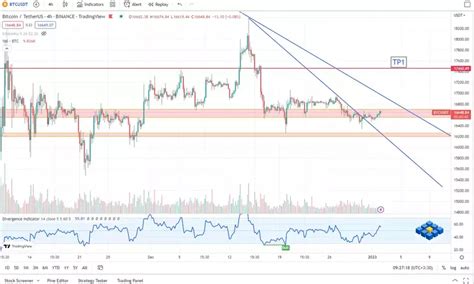 Week 1 (2023) BTC Bitcoin Analysis