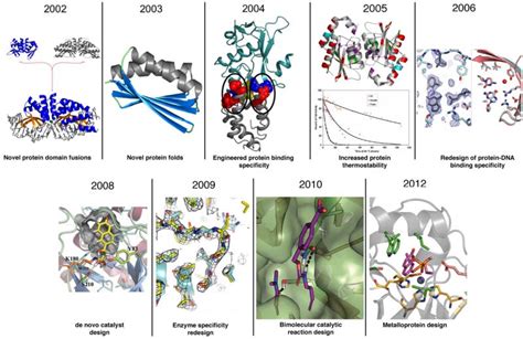 Protein & Enzyme Engineering