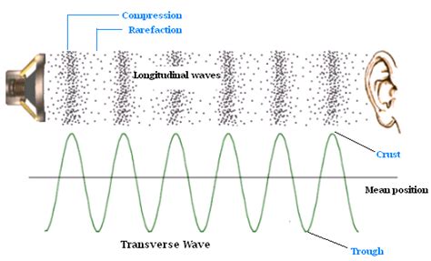 Sound = longitudinal waves | Sound waves, Sound physics, Waves