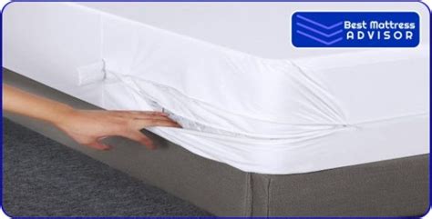 9 Best Bed Bug Mattress Covers 2023 Review