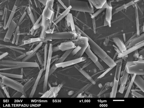 Microcrystalline cellulose with magnification 1000x | Download Scientific Diagram