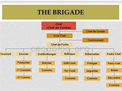 Unique 45 of Kitchen Brigade System Chart | ucfwomensstudies