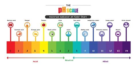 Urine Ph Color Chart