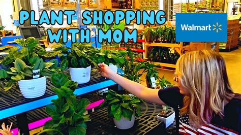 Plant Shopping With Mom at Walmart in Reidsville, NC ♥♥ - YouTube