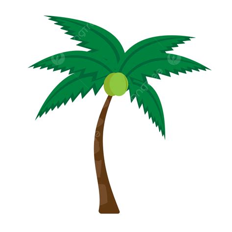 Coconut Tree, Pokok Kelapa, Free Coconut Tree, Coconut Tree Material PNG and Vector with ...