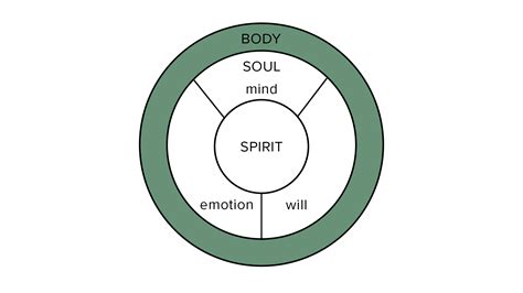 Embracing Change Tools For Mind Body And Spirit - vrogue.co