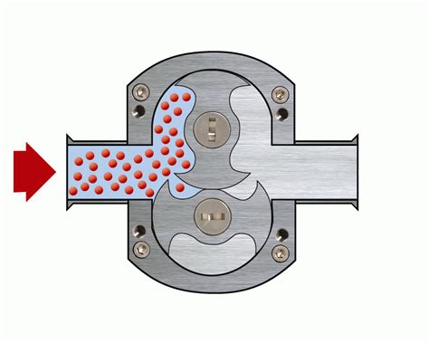 Rotary Lobe Pumps | New Zealand | Pump and Valve Specialties